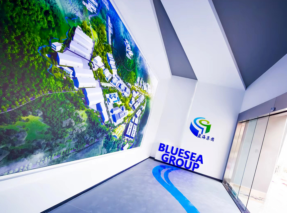 四川藍?；ぃ瘓F）有限公司企業展廳